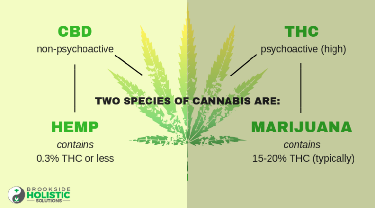 Cannabis vs. Marijuana | DUID Victim Voices